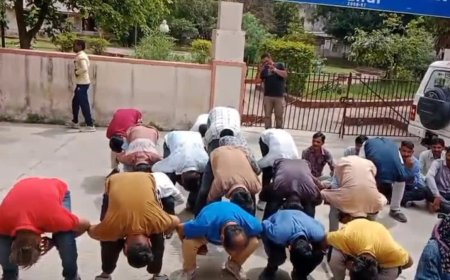 संविदा कर्मचारी कलेक्ट्रेट में बन गए 'मुर्गा', जानिए क्यों किया ऐसा प्रदर्शन महिला कर्मचारियों ने प्लेसमेंट एजेंसी पर आरोप लगाया कि उनसे देर रात तक ड्यूटी ली जाती है.